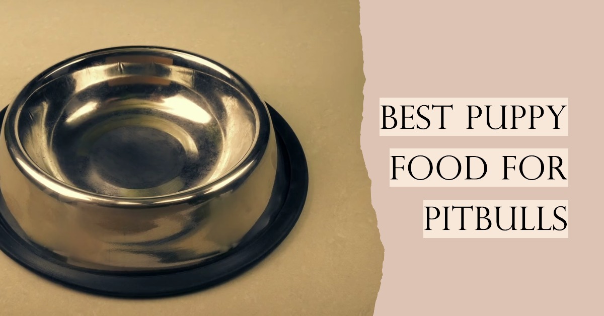 Best Puppy Food for Pitbulls