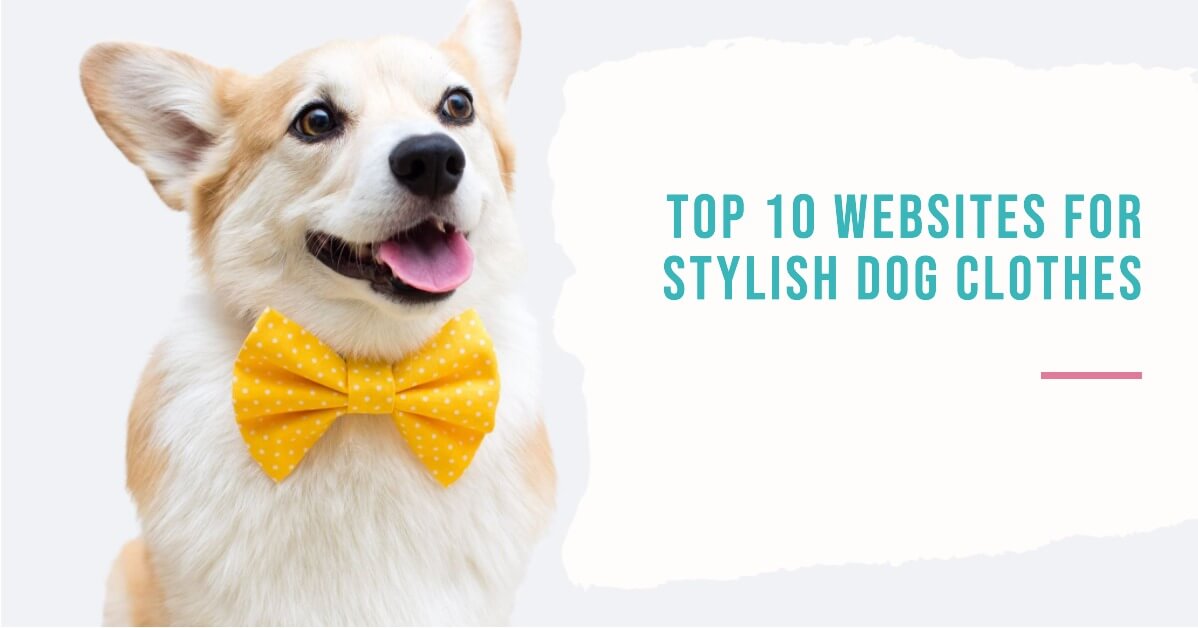 Top 10 Websites for Stylish Dog Clothes in 2023