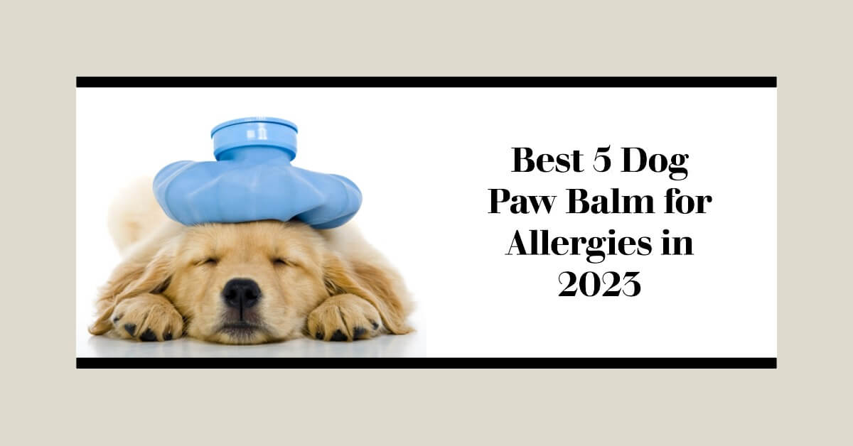 Allergy Fighters:Best 5 Dog Paw Balm for Allergies in 2023