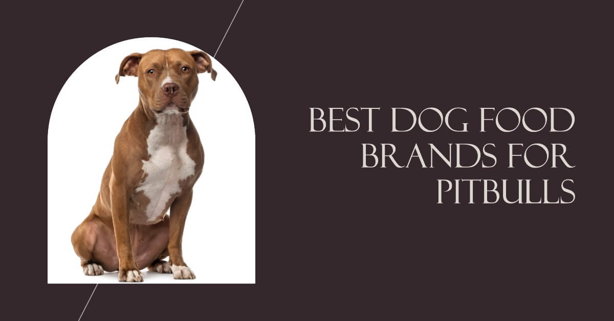 Best Dog Food Brands for Pitbulls