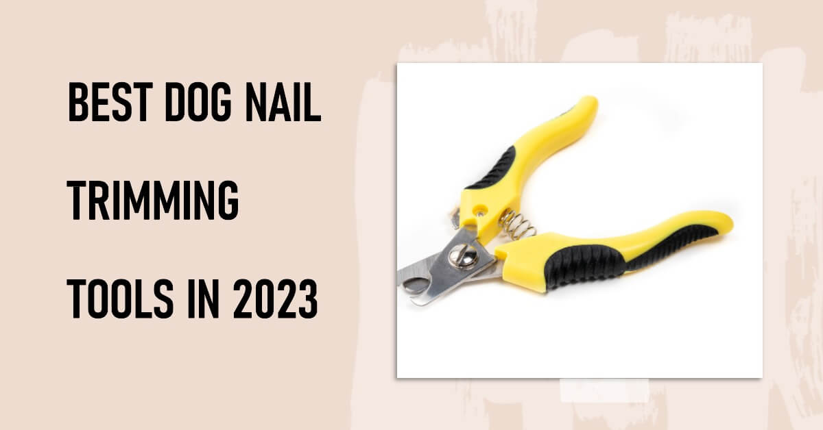 Best Dog Nail Trimming Tools in 2023