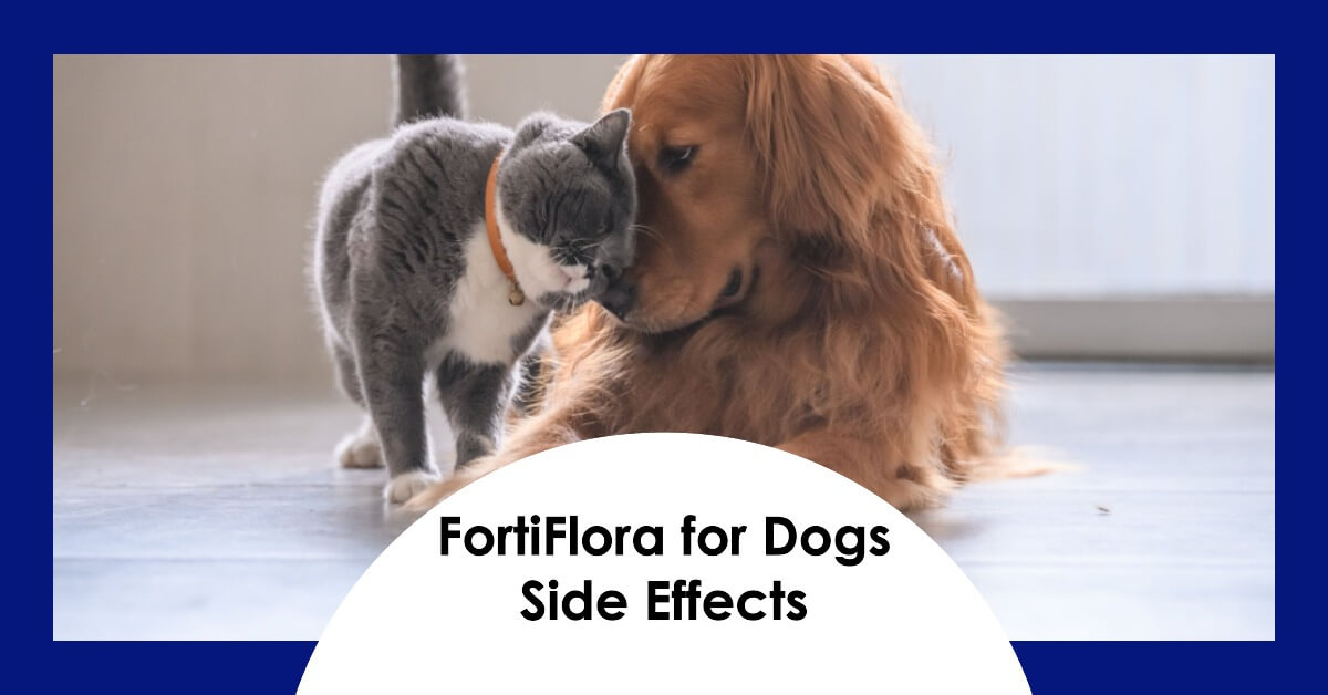 FortiFlora for Dogs Side Effects
