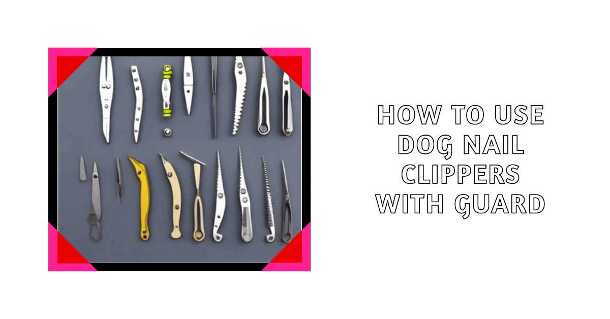 How to Use Dog Nail Clippers with Guard