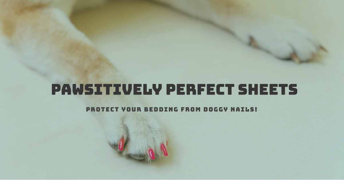 7 Best Sheets for Dog Nails