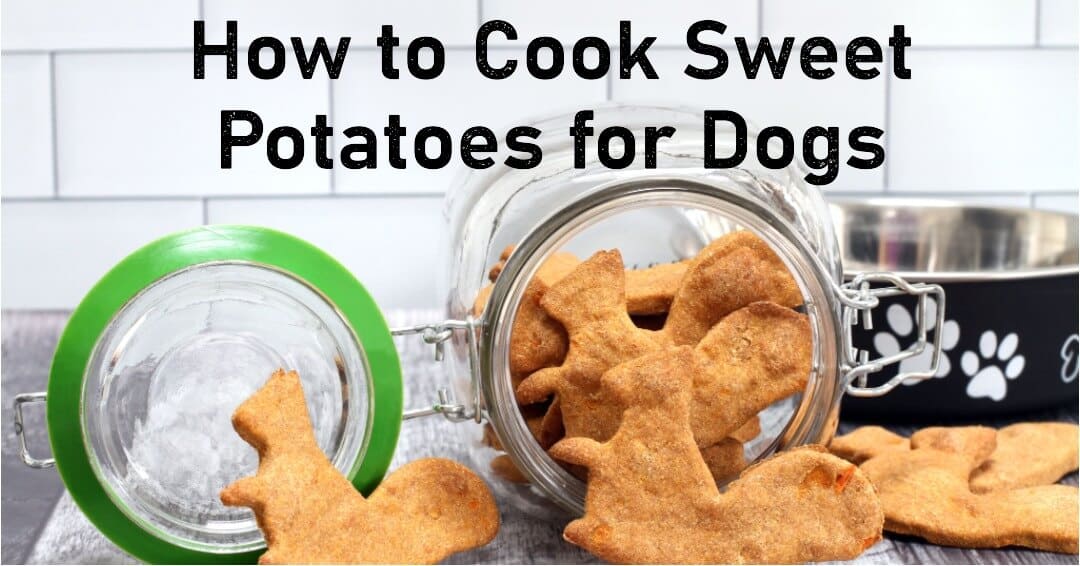 How to Cook Sweet Potatoes for Dogs