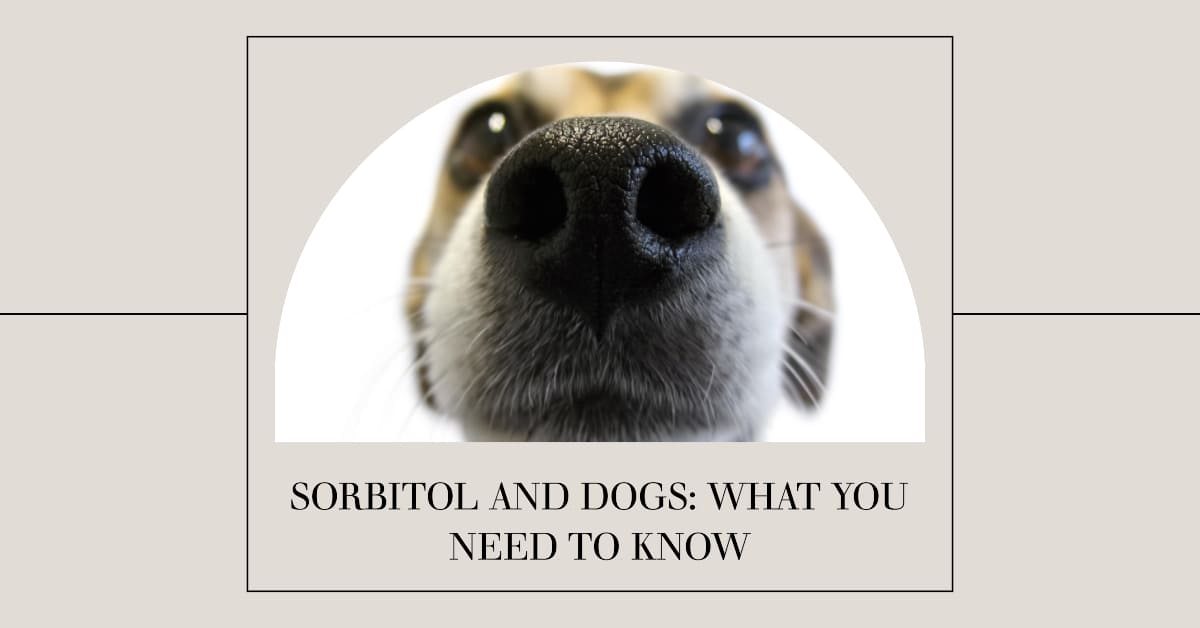 Is Sorbitol Safe for Dogs