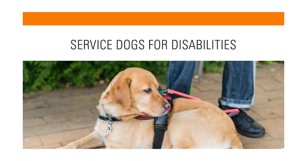 What Disabilities Qualify for Service Dogs