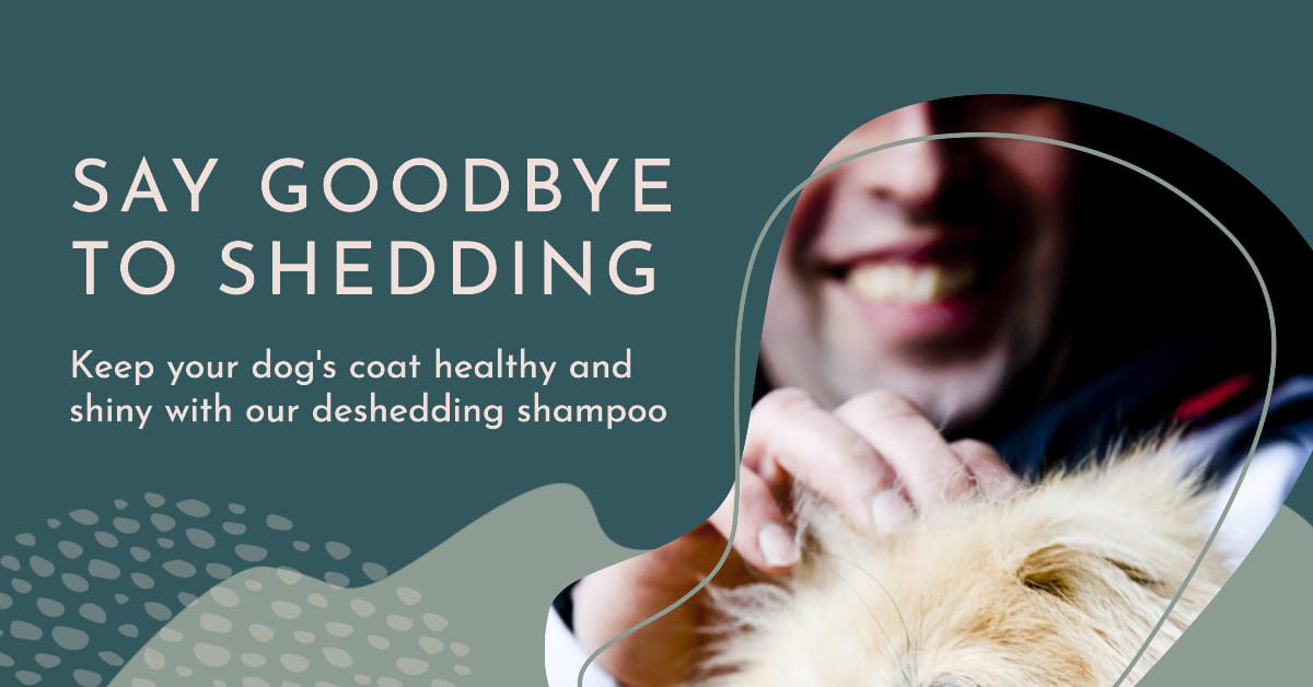 Best Deshedding Shampoo for Dogs