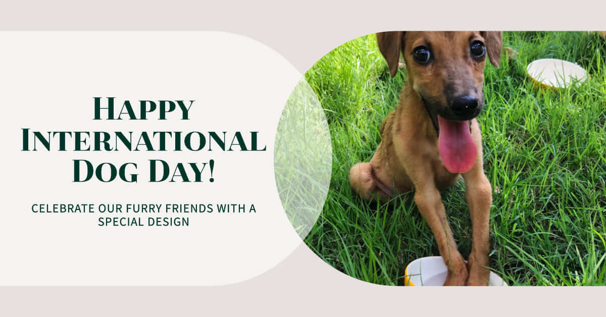 Celebrate International Dog Day