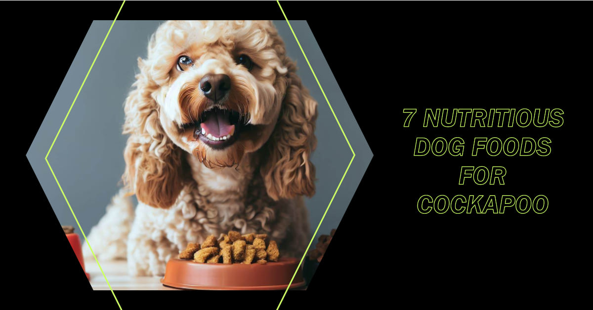 7 Nutritious Dog Foods for Cockapoo That Will Keep Them Active and Happy