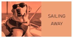 15 Best Boat Dogs That Will Make You Fall in Love with Sailing