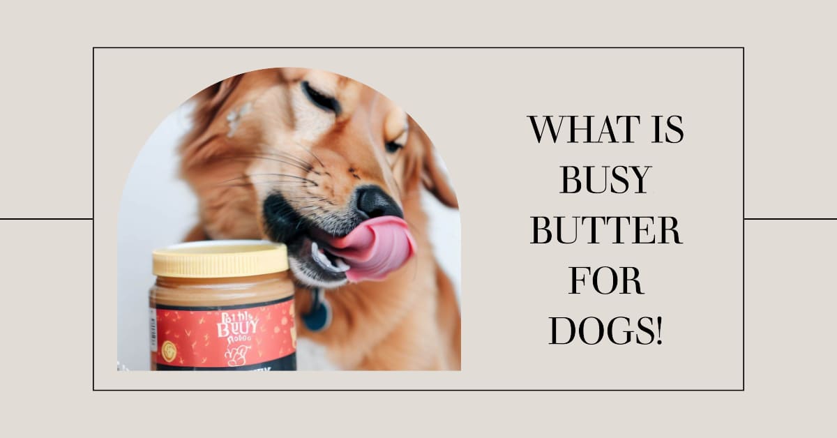 What is Busy Butter for Dogs