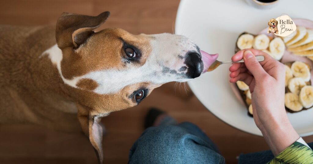 Can Dogs Have Banana Peppers?
