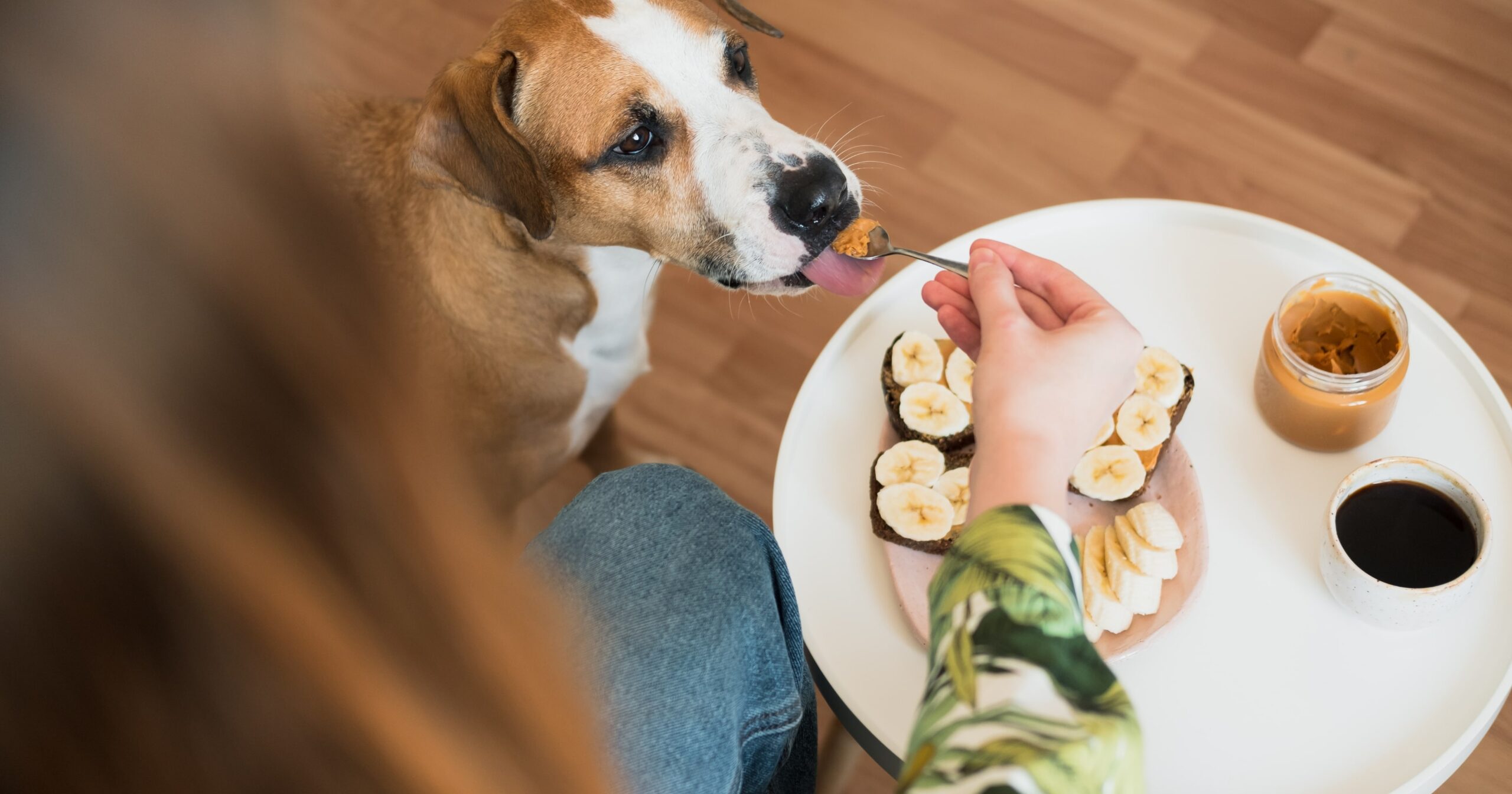 Can Dogs Have Banana Peppers?