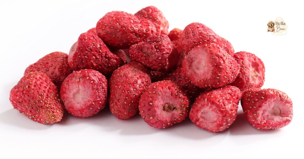 Can Dogs Have Freeze Dried Strawberries
