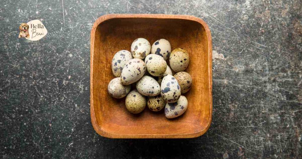 Can Dogs Eat Quail Eggs
