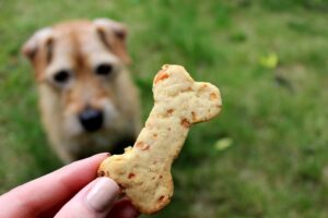 Dog Treat