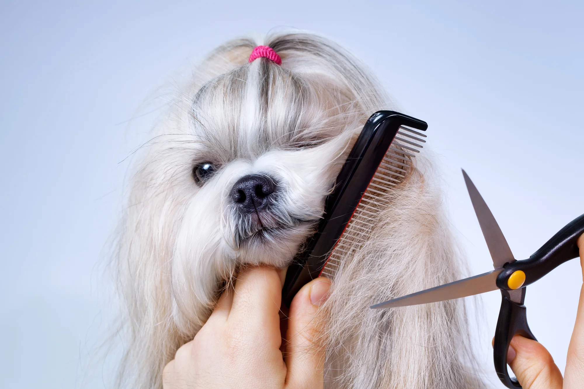 Grooming trends