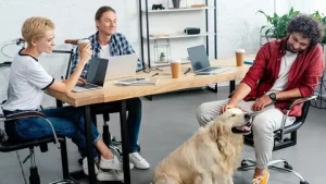 dog-friendly workplace