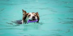 Hydrotherapy