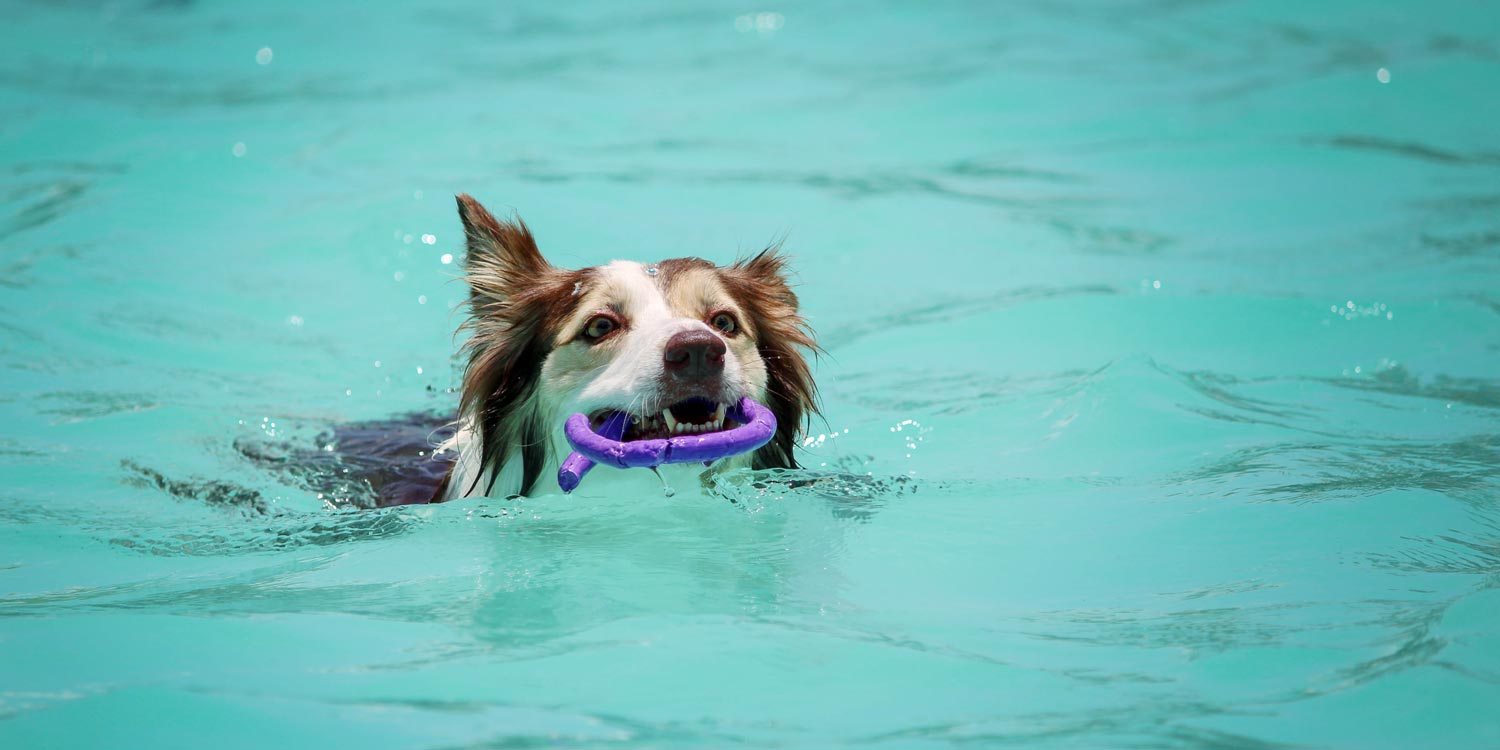 Hydrotherapy