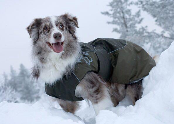 winter coat