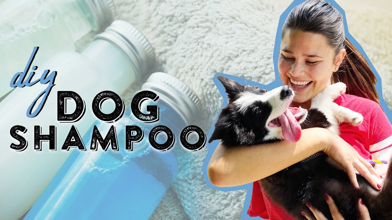 Homemade Dog Shampoo