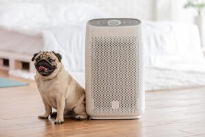 air purifier