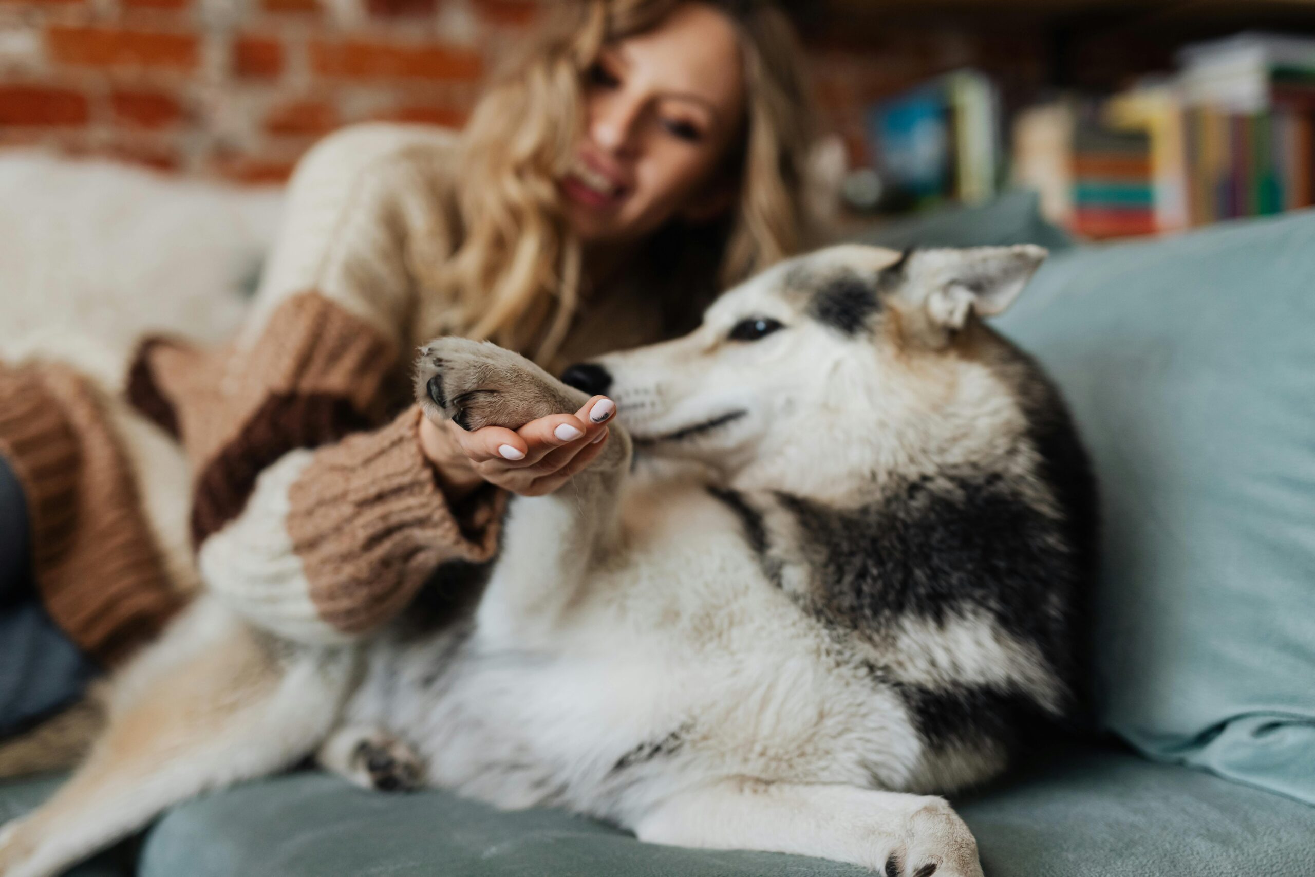 woman checking her dog paw