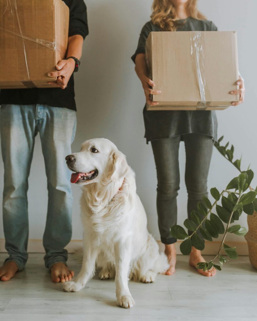 Dog Sits Beside Man and Woman Afrer Moving