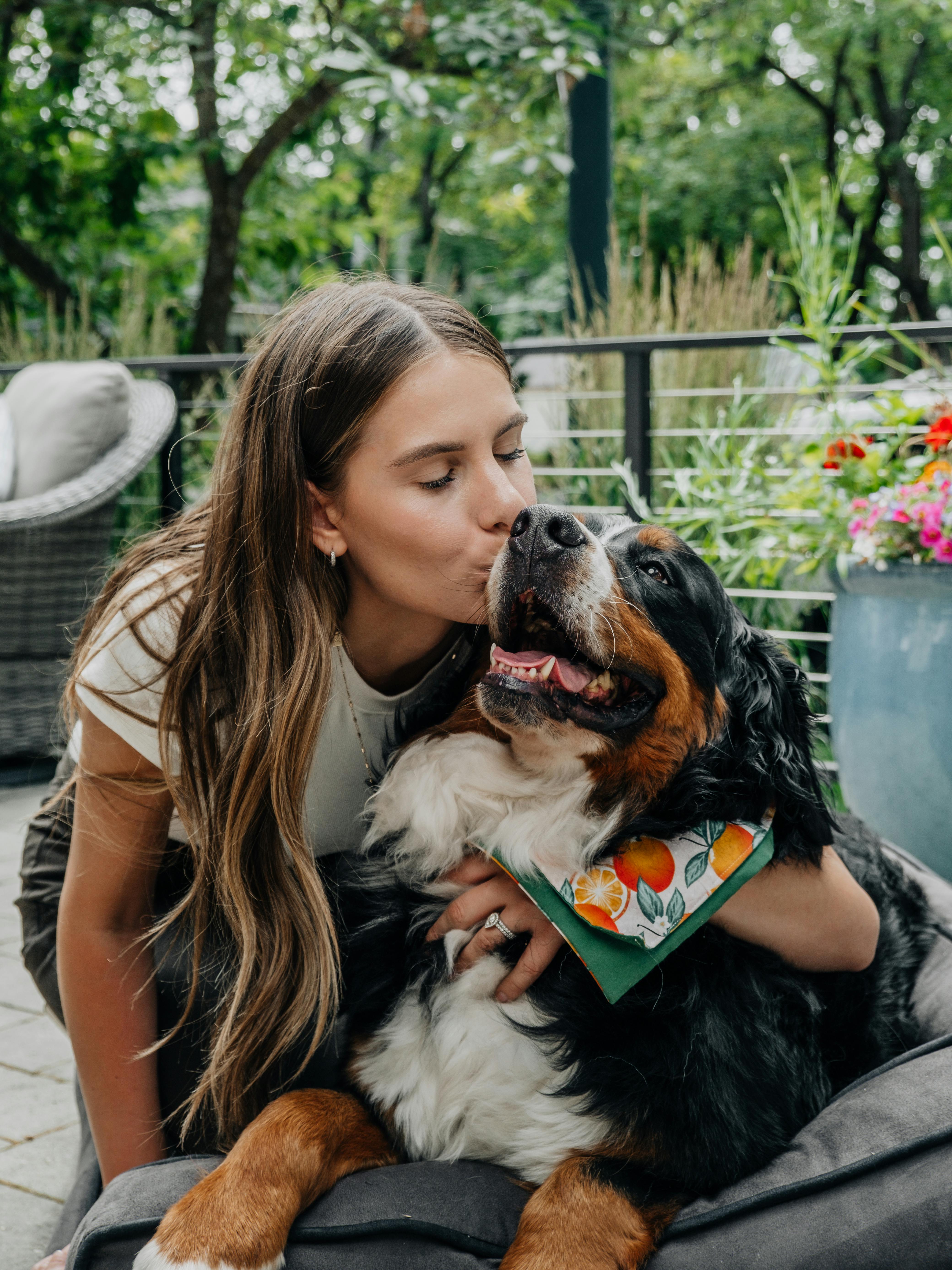 dog-friendly plants