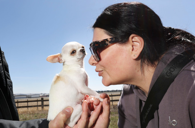 tallest-smallest-dogs-kissing-pearl