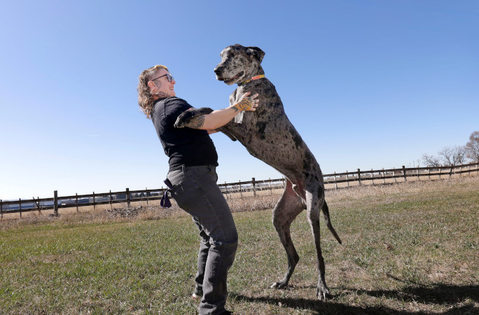 tallest-smallest-dogs-reggie-with-.