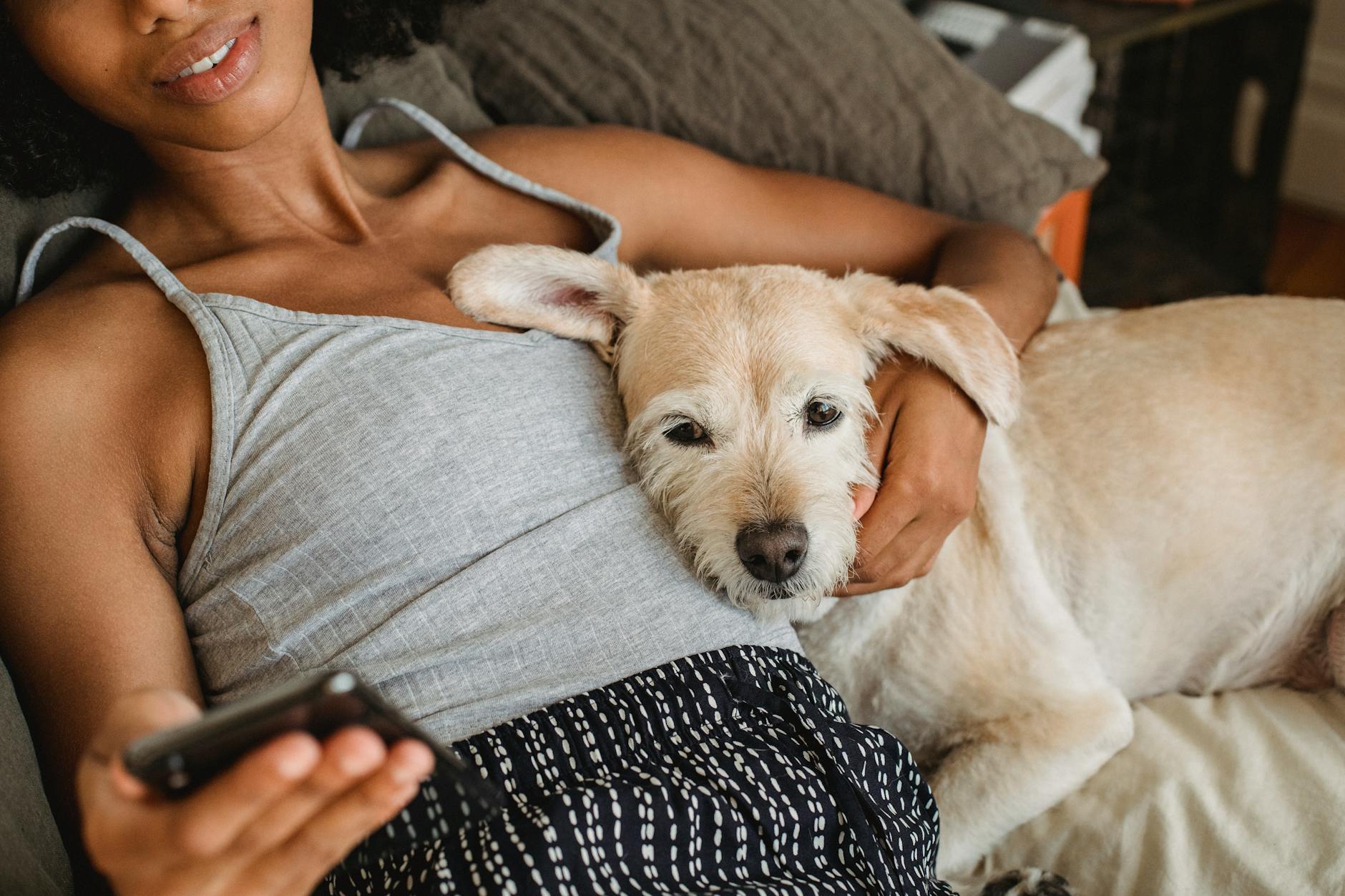 chilling with dog and checking social media